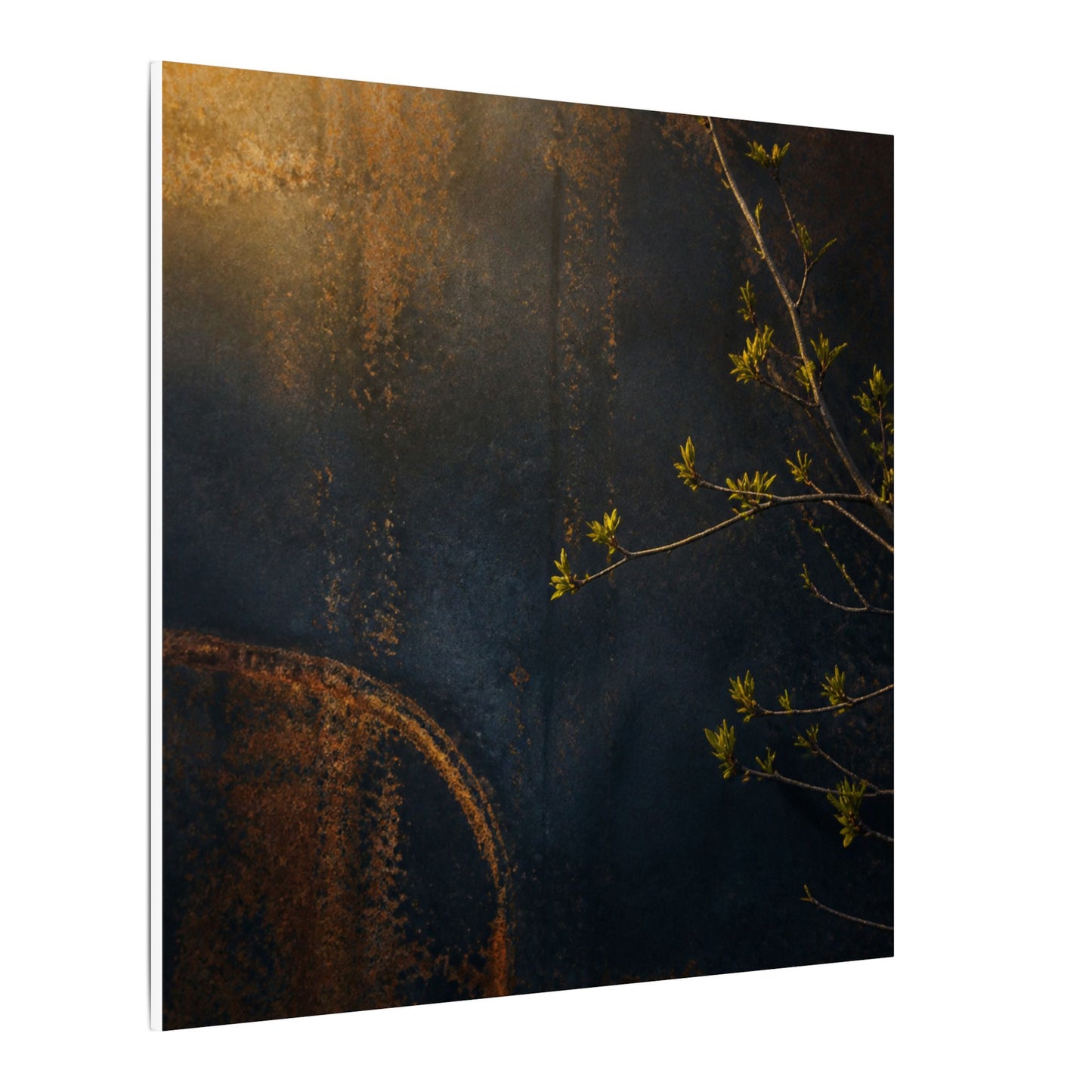 Spring Rust Patina Dark Texture Canvas Art | Moody Decor