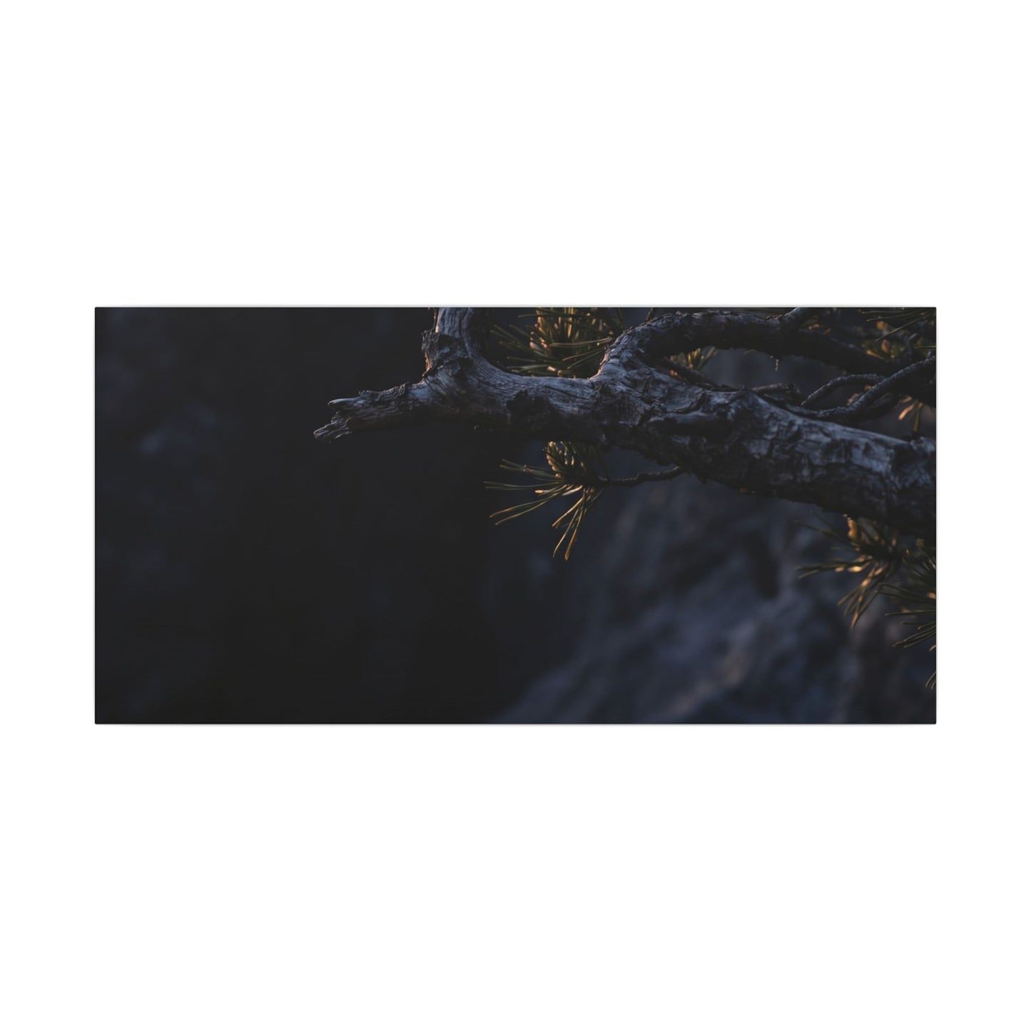Pine Tree Moody Minimal Canvas Art | Sophisticated Dark Japandi Art