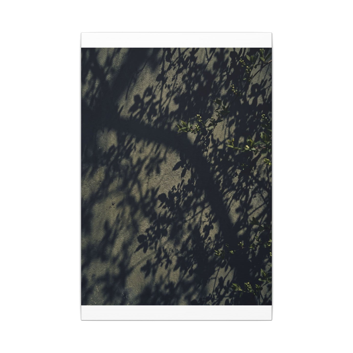 Atmospheric Shadow Play Canvas Art - Moody Minimal Dark Japandi