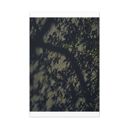 Atmospheric Shadow Play Canvas Art - Moody Minimal Dark Japandi
