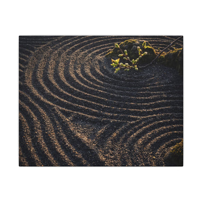 Spring Rock Garden Shadow Zen Canvas Art | Atmospheric Decor