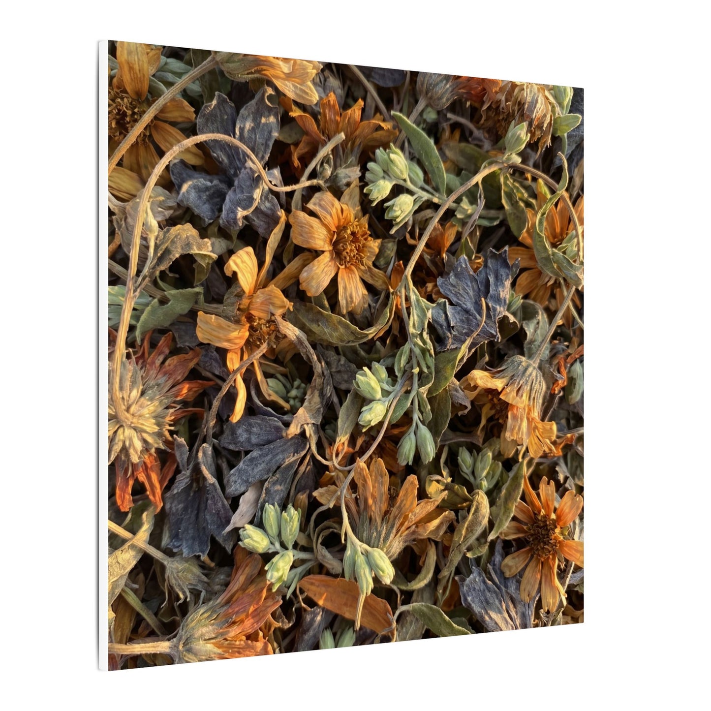 Spring Dried Flowers Japanese Pattern Canvas Art | Warm Decor