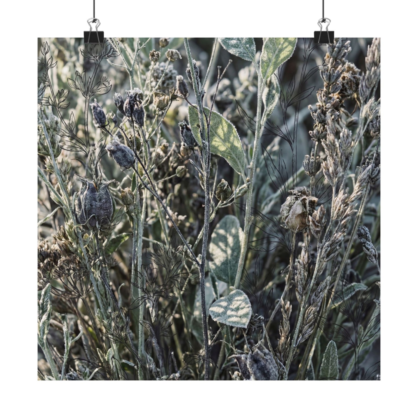 Dried Flowers Winter Wall Art Print | Japandi Neutral Design Art Print