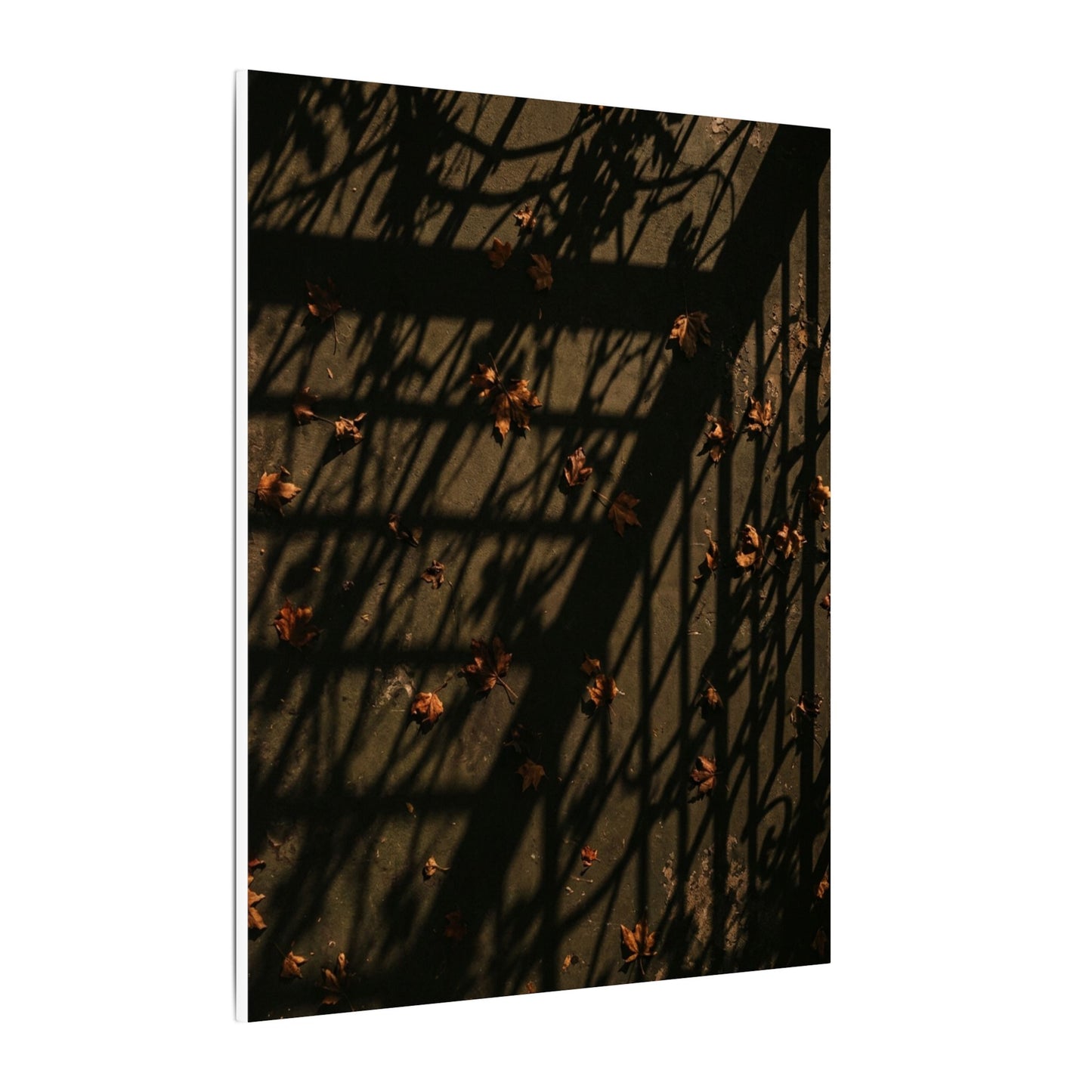 Shadow Play Canvas Art | Autumn Dark Japandi Moody Minimal Art