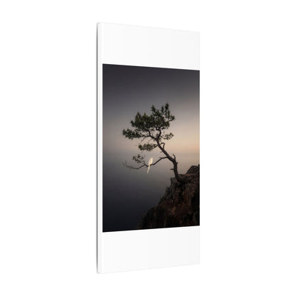 Dawn Pine Tree Canvas Art - Dark Japandi Datsuzoku