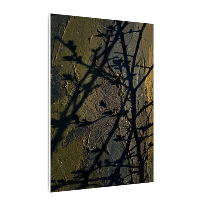 Kanso Shadow Play Canvas Art - Dark Japandi Dark Texture