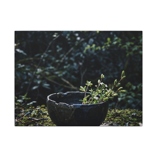 Dappled Ceramic Bowl Canvas Art - Dark Japandi Datsuzoku