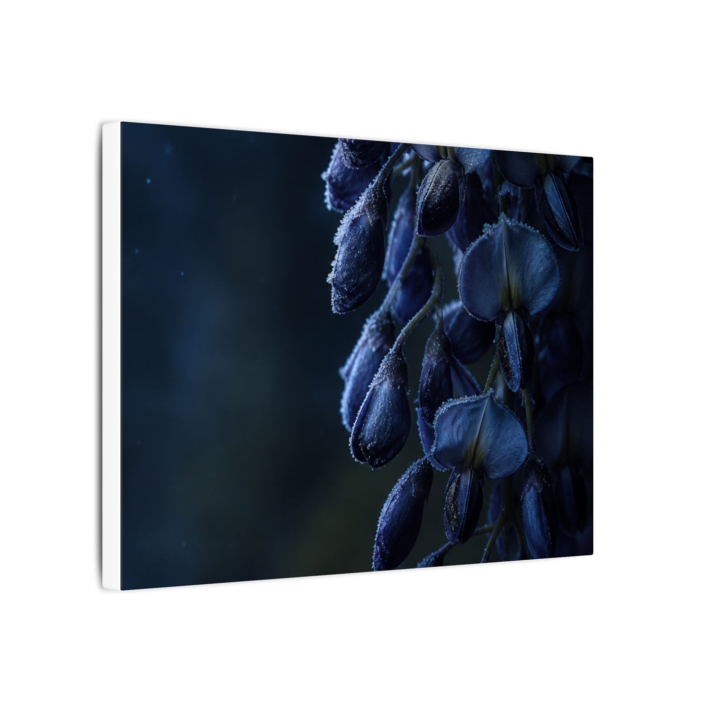 Winter Wisteria Shadow Zen Canvas Art | Atmospheric Decor