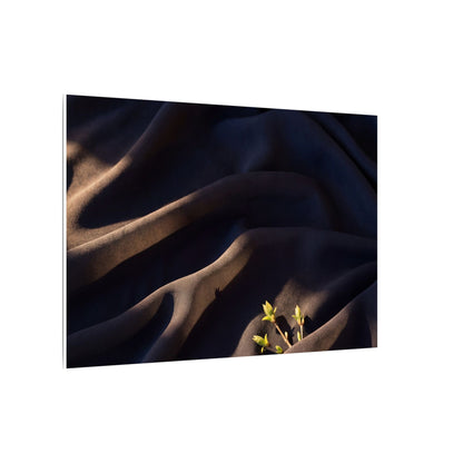 Silk Drape Shadow Zen Canvas Art | Luxurious Dark Japandi Art