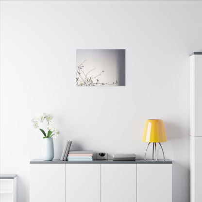 Japandi Shadow Play in Dawn | Japanese Pattern Canvas Art