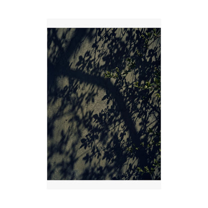 Shadow Play Moody Minimal Wall Art Print | Atmospheric Dark Japandi Art