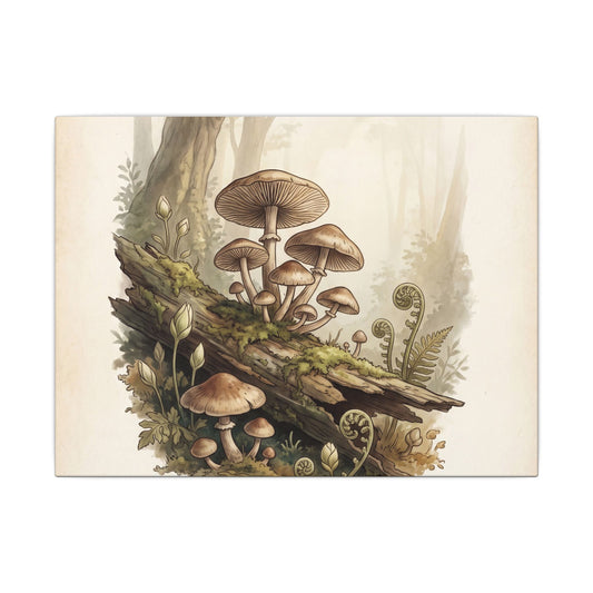Seijaku Wild Mushrooms Canvas Art - Cottagecore Mushroom Illustration Art Print
