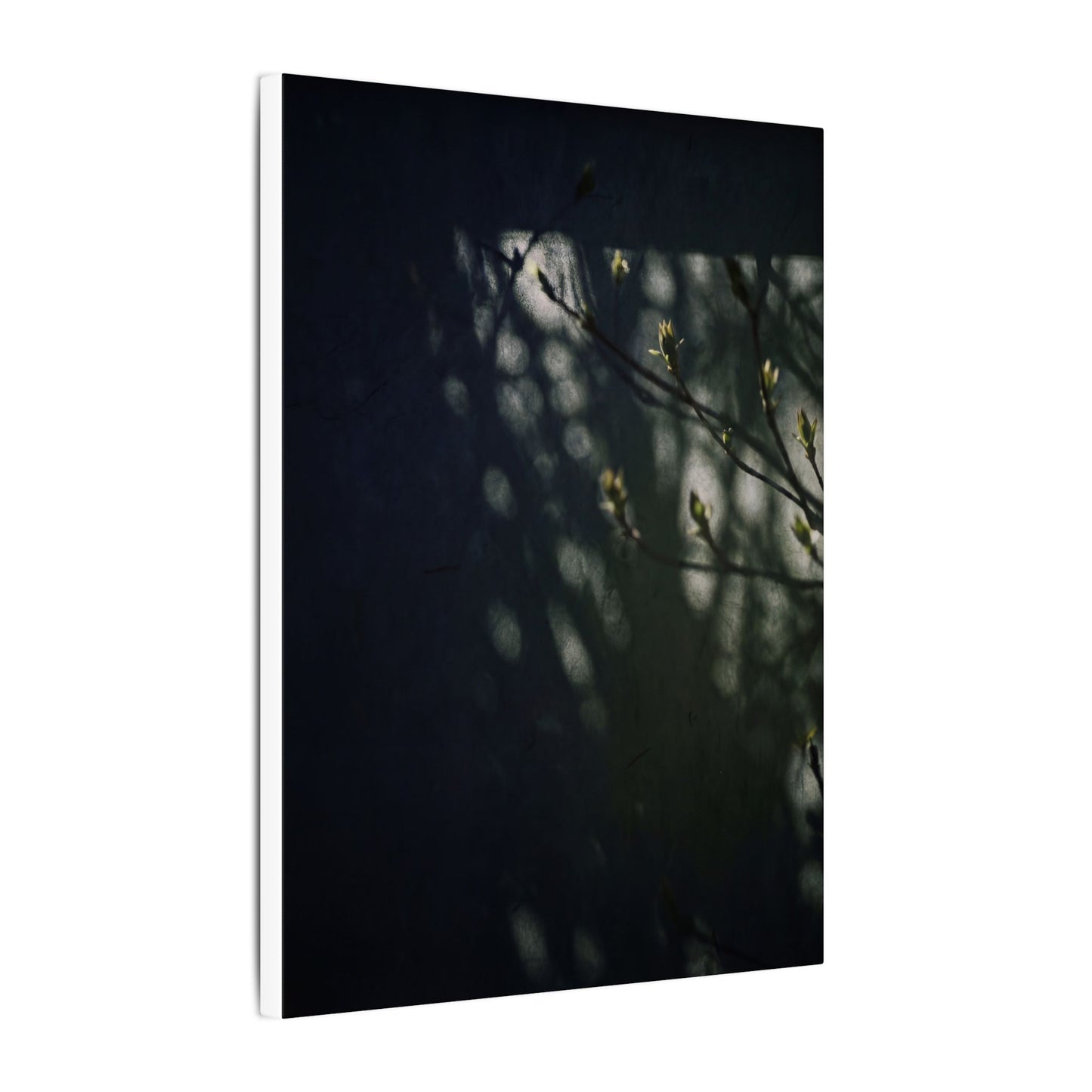 Dark Japandi Shoji Screen in Dappled | Moody Minimal Canvas Art