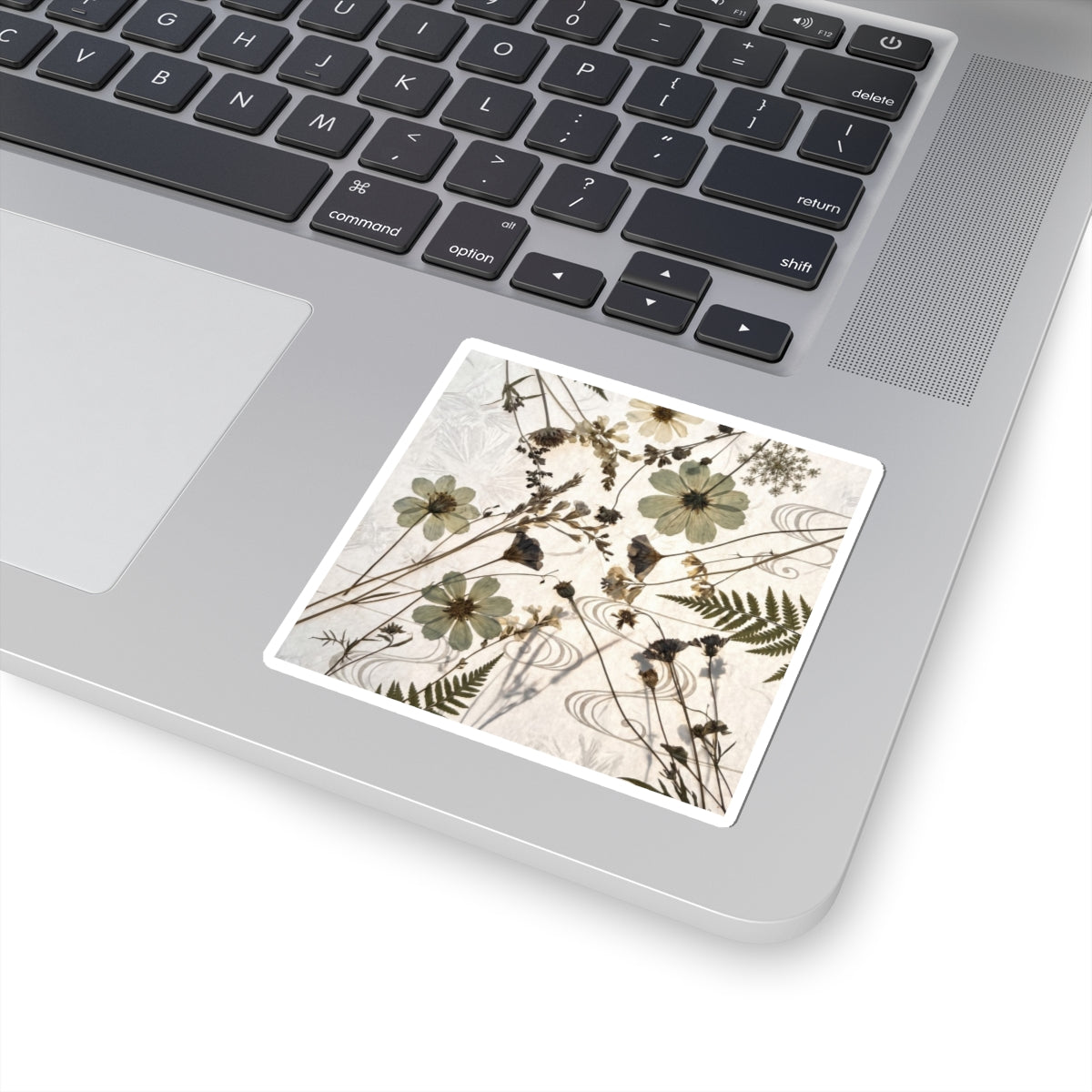 Dried Flowers Winter Sticker | Japandi Earthy Design Art Print