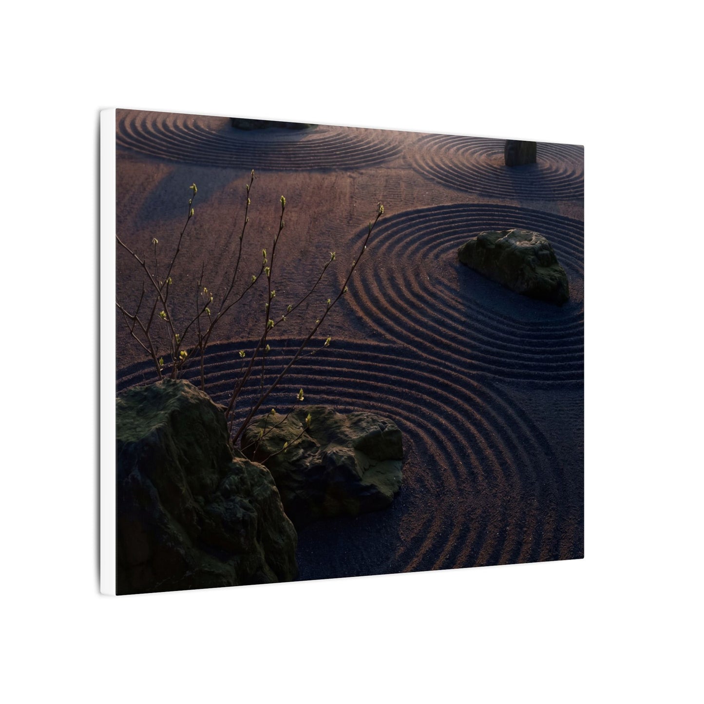 Spring Rock Garden Shadow Zen Canvas Art | Luxurious Decor