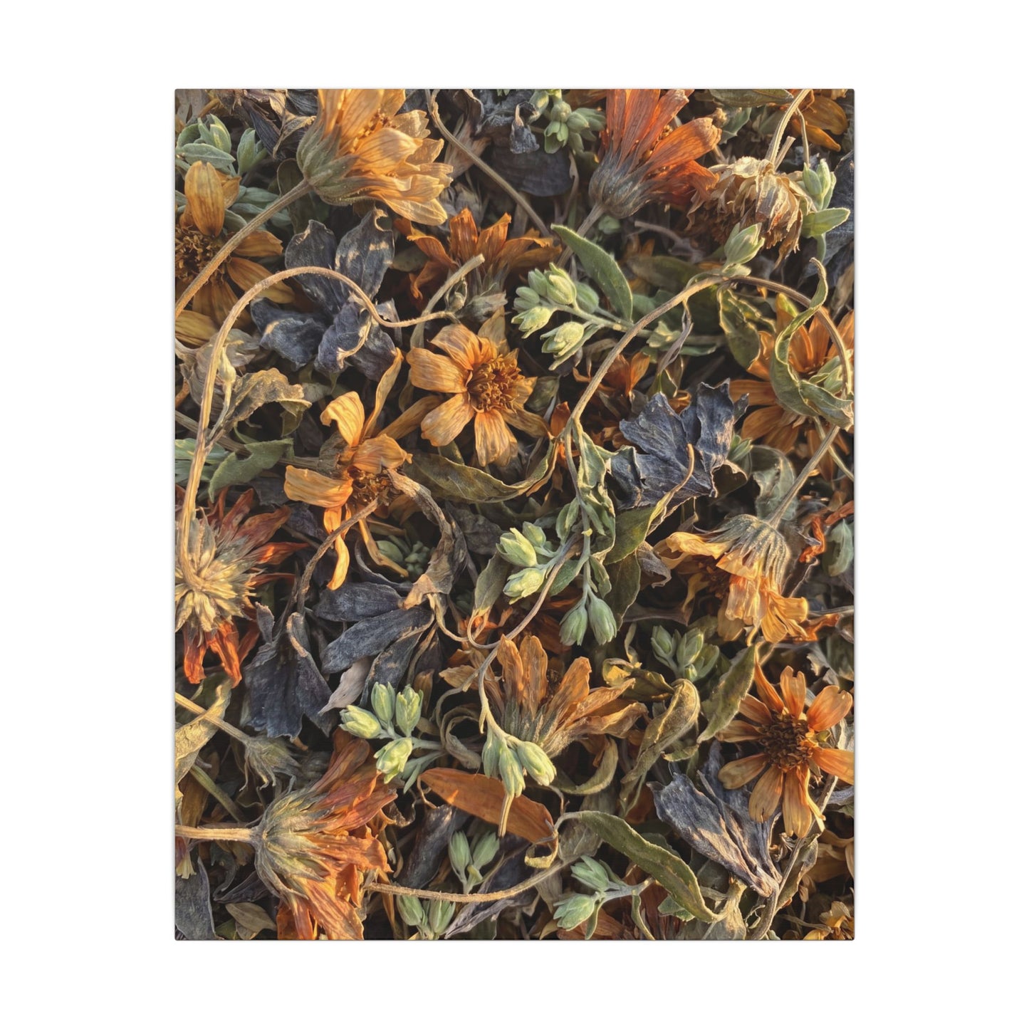 Spring Dried Flowers Japanese Pattern Canvas Art | Warm Decor