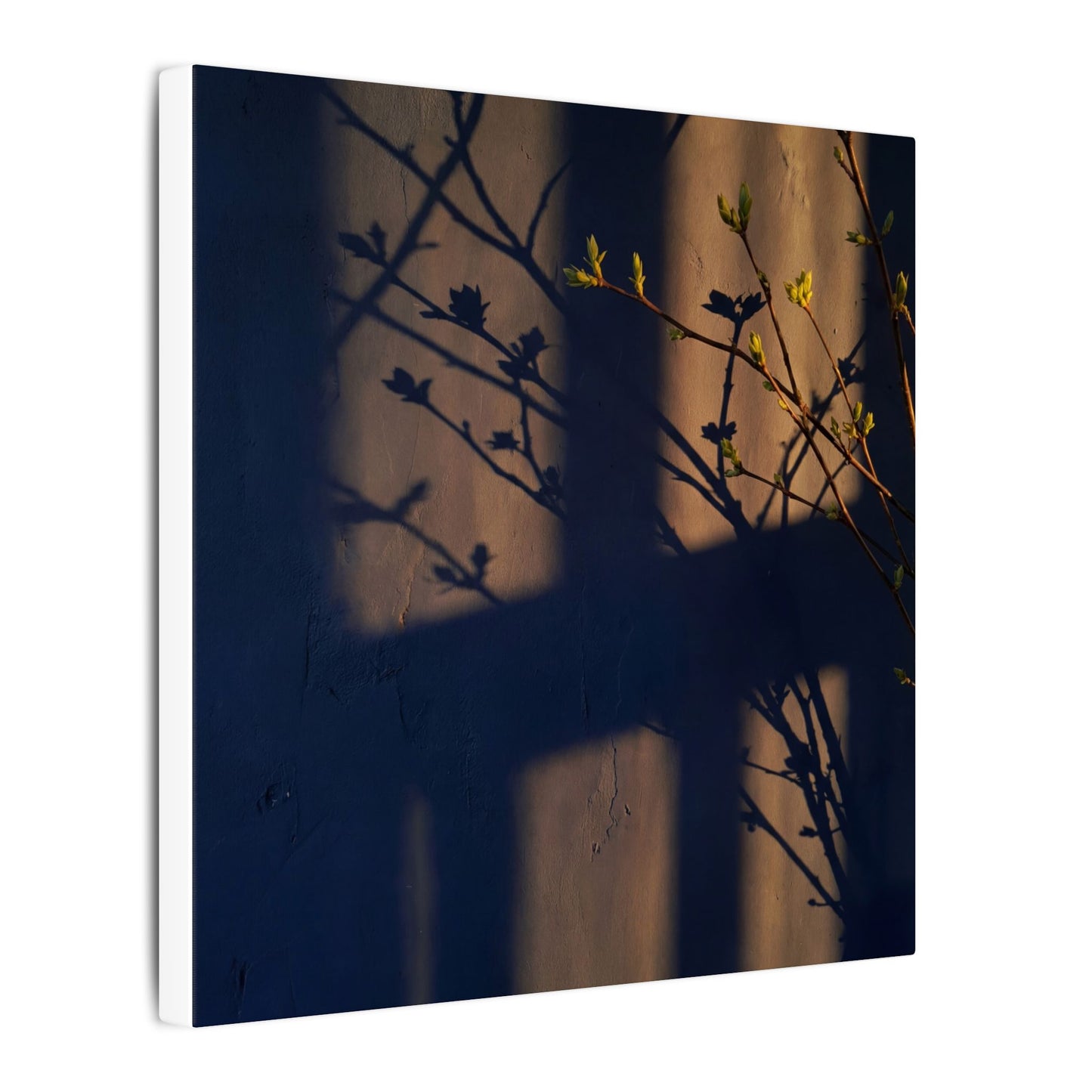 Shadow Play Canvas Art | Spring Dark Japandi Shadow Zen Art