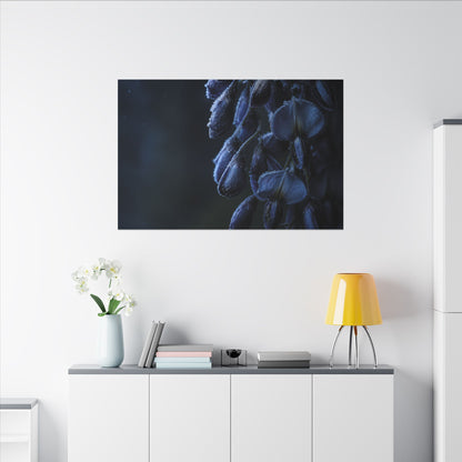 Winter Wisteria Shadow Zen Canvas Art | Atmospheric Decor