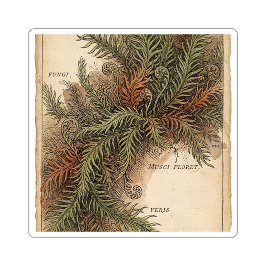 Spring Moss Close Up Vintage Botanical Sticker | Cozy Decor Art Print