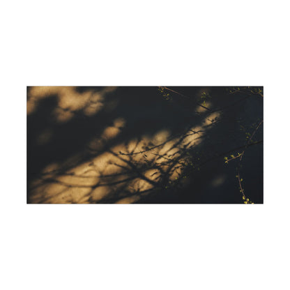 Moody Shadow Play Canvas Art - Moody Minimal Dark Japandi