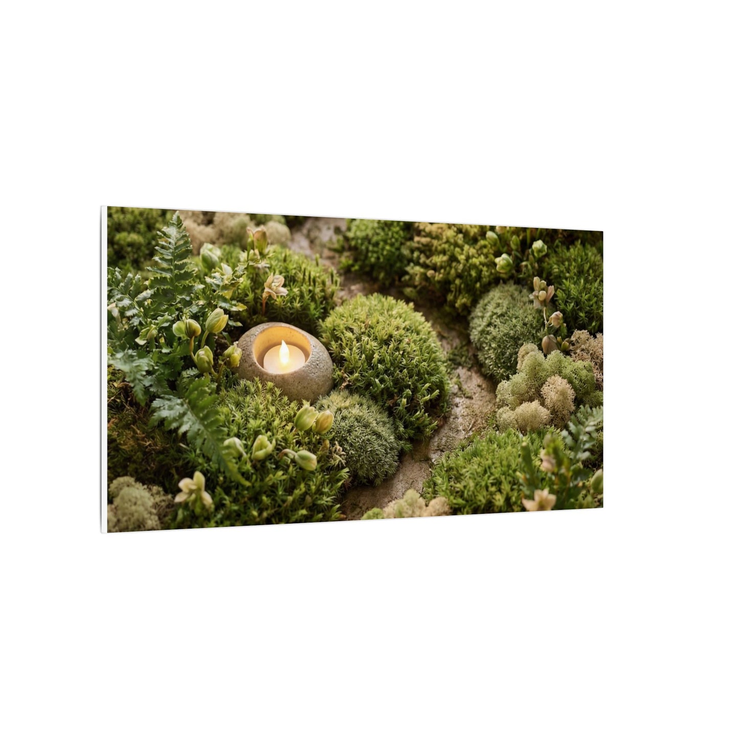 Moss Close Up Japanese Pattern Canvas Art | Neutral Japandi Art