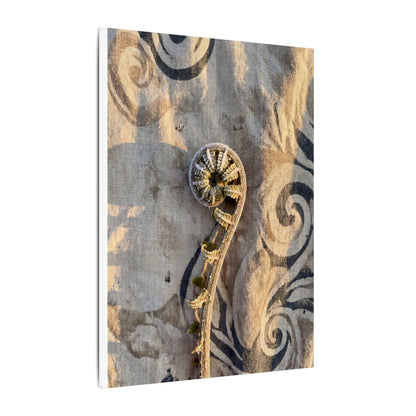 Fern Unfurling Canvas Art | Winter Japandi Japanese Pattern Art
