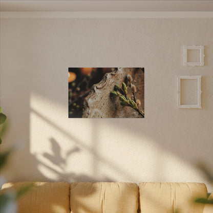 Overcast Ceramic Bowl Canvas Art - Japandi Ma