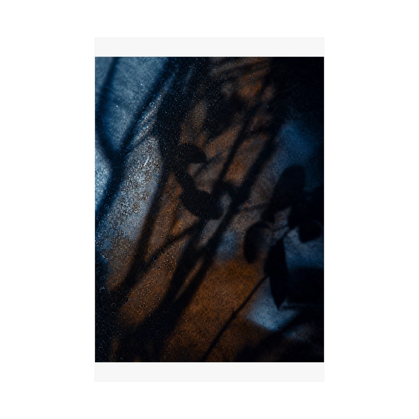 Winter Shadow Play Moody Minimal Wall Art Print | Luxurious Decor