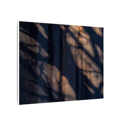 Dark Japandi Shadow Play in Golden Hour | Shadow Zen Canvas Art