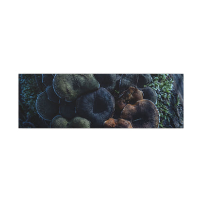 Wild Mushrooms Moody Minimal Canvas Art | Moody Dark Japandi Art