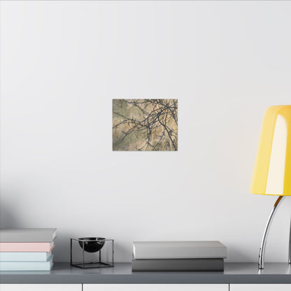 Japandi Shadow Play in Golden Hour | Texture Canvas Art