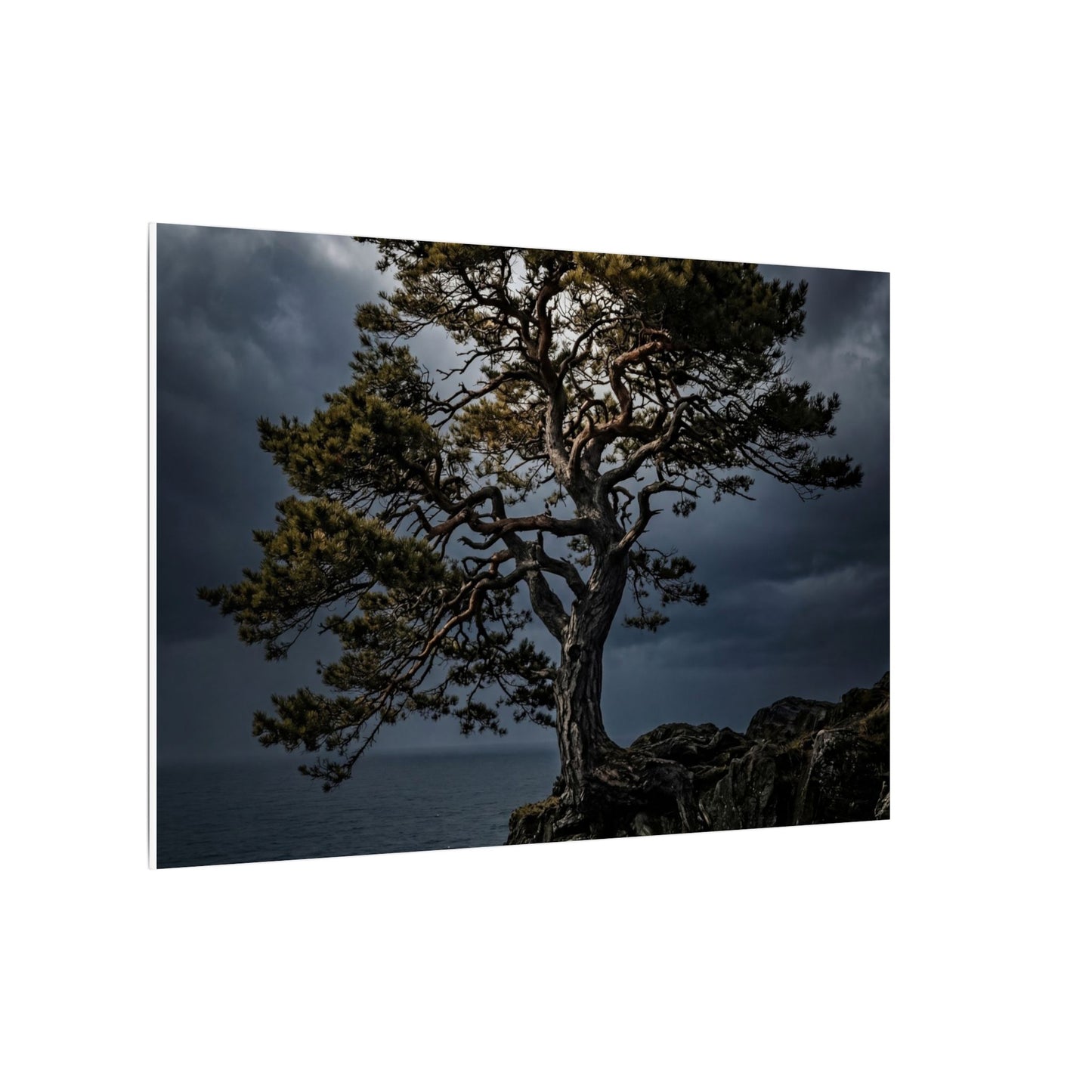 Dappled Pine Tree Canvas Art - Dark Japandi Fukinsei