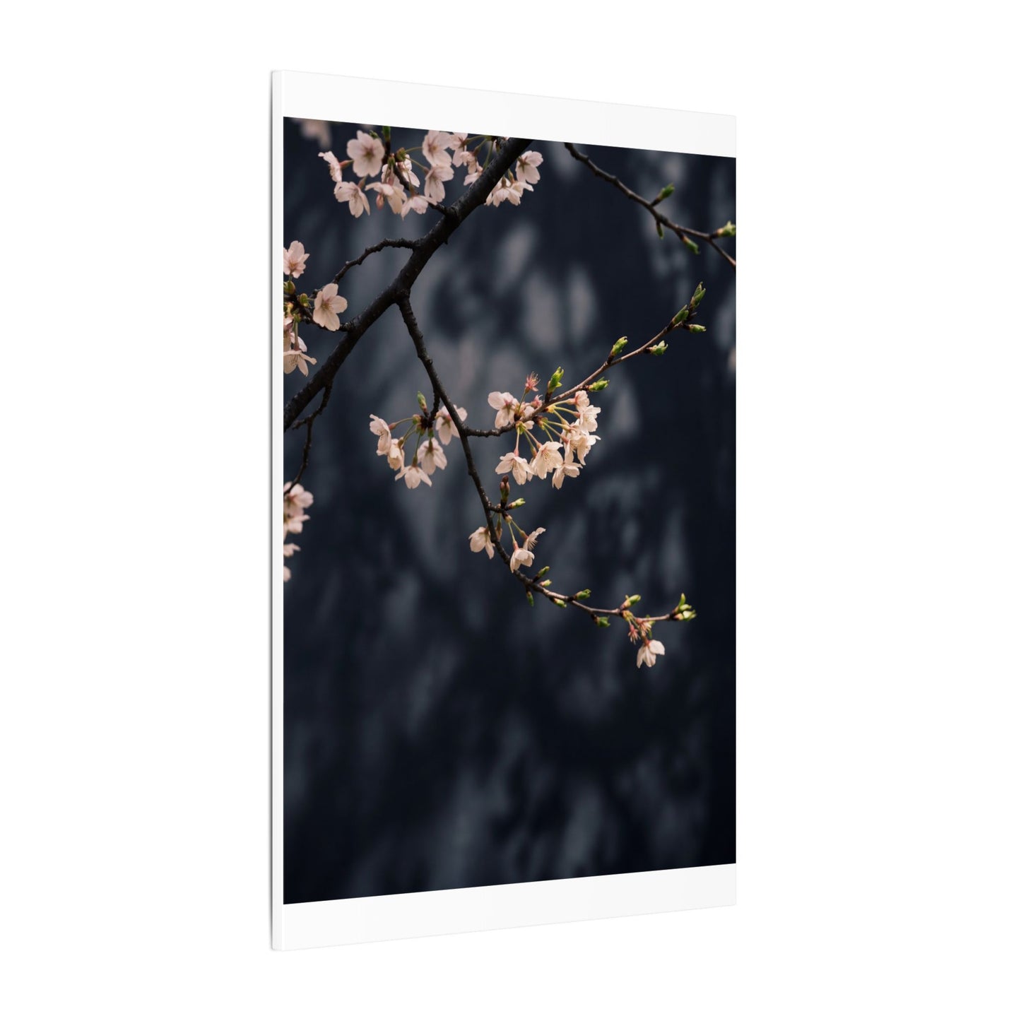 Cherry Blossom Moody Minimal Canvas Art | Bold Dark Japandi Art