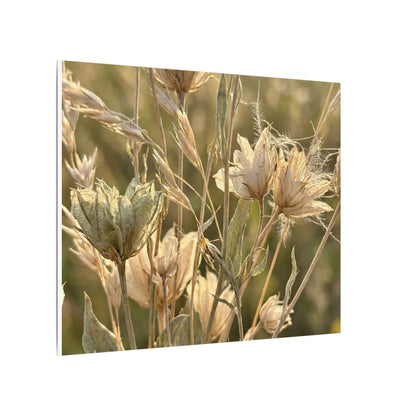 Summer Dried Flowers Minimal Line Canvas Art | Cozy Decor