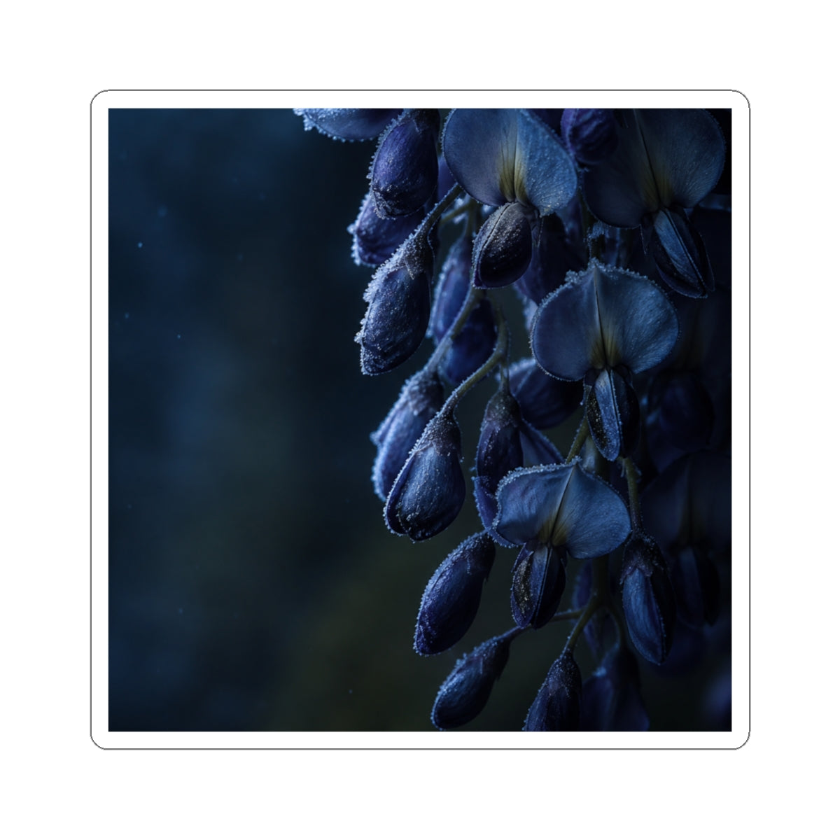 Wisteria Shadow Zen Sticker | Luxurious Dark Japandi Art