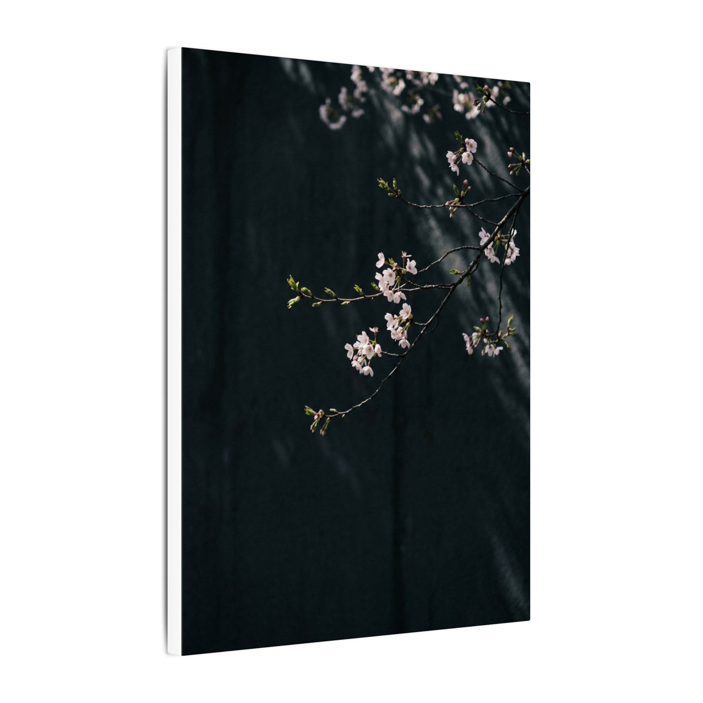 Cherry Blossom Spring Canvas Art | Dark Japandi Sophisticated Design