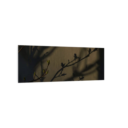 Seijaku Shadow Play Canvas Art - Dark Japandi Charcoal Ink