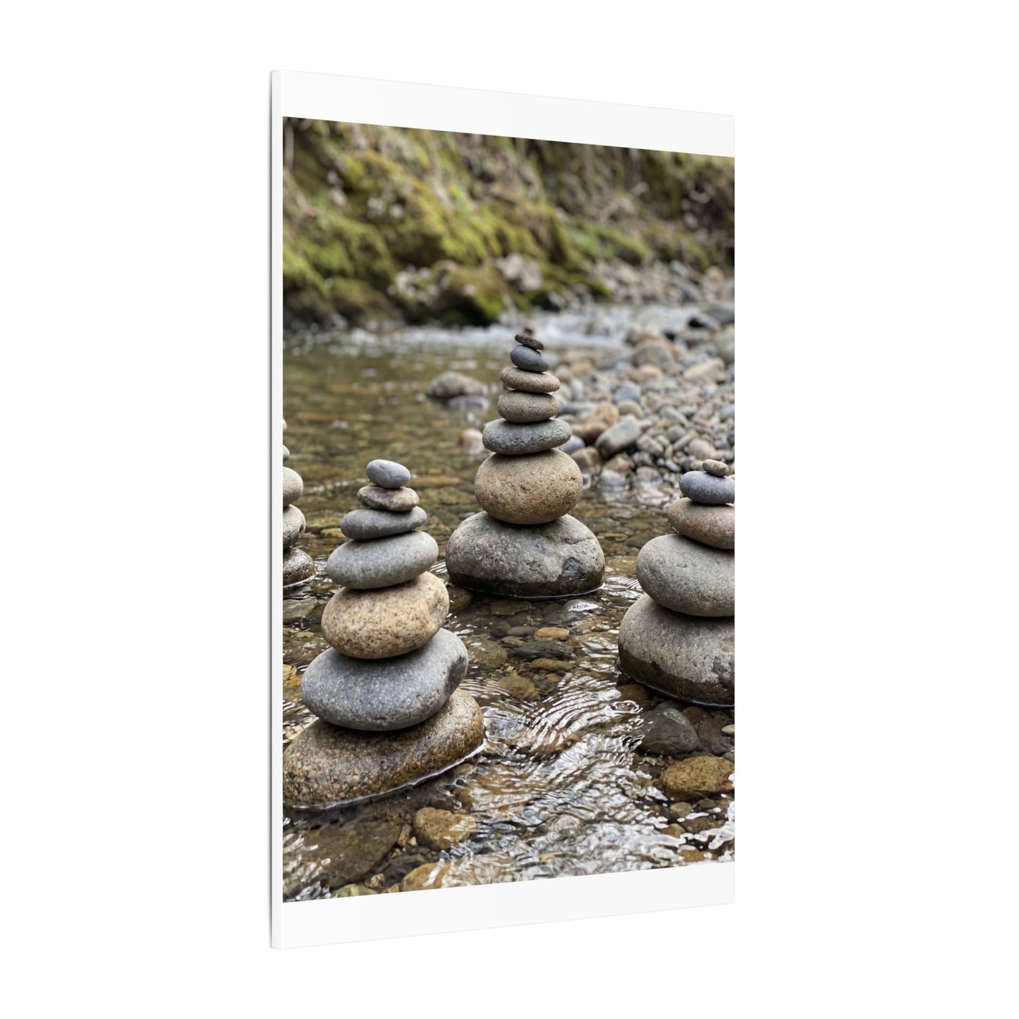 Bamboo Grove Winter Canvas Art | Zen Serene Design