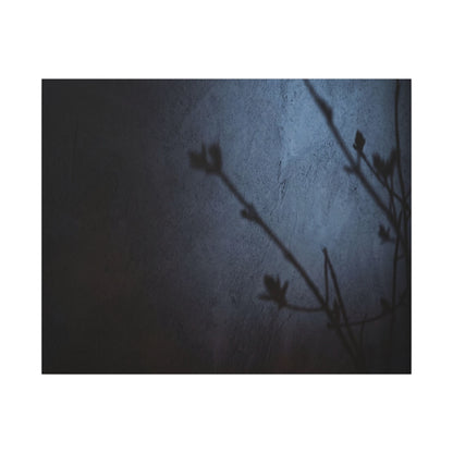 Shadow Play Canvas Art | Spring Dark Japandi Moody Minimal Art