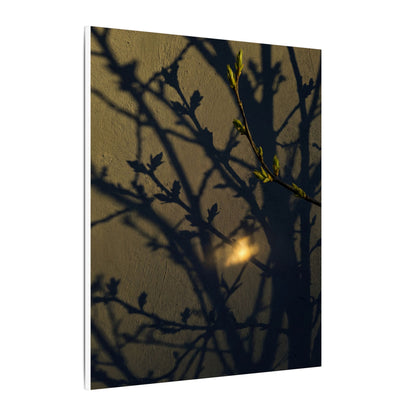 Bold Shadow Play Canvas Art - Moody Minimal Dark Japandi