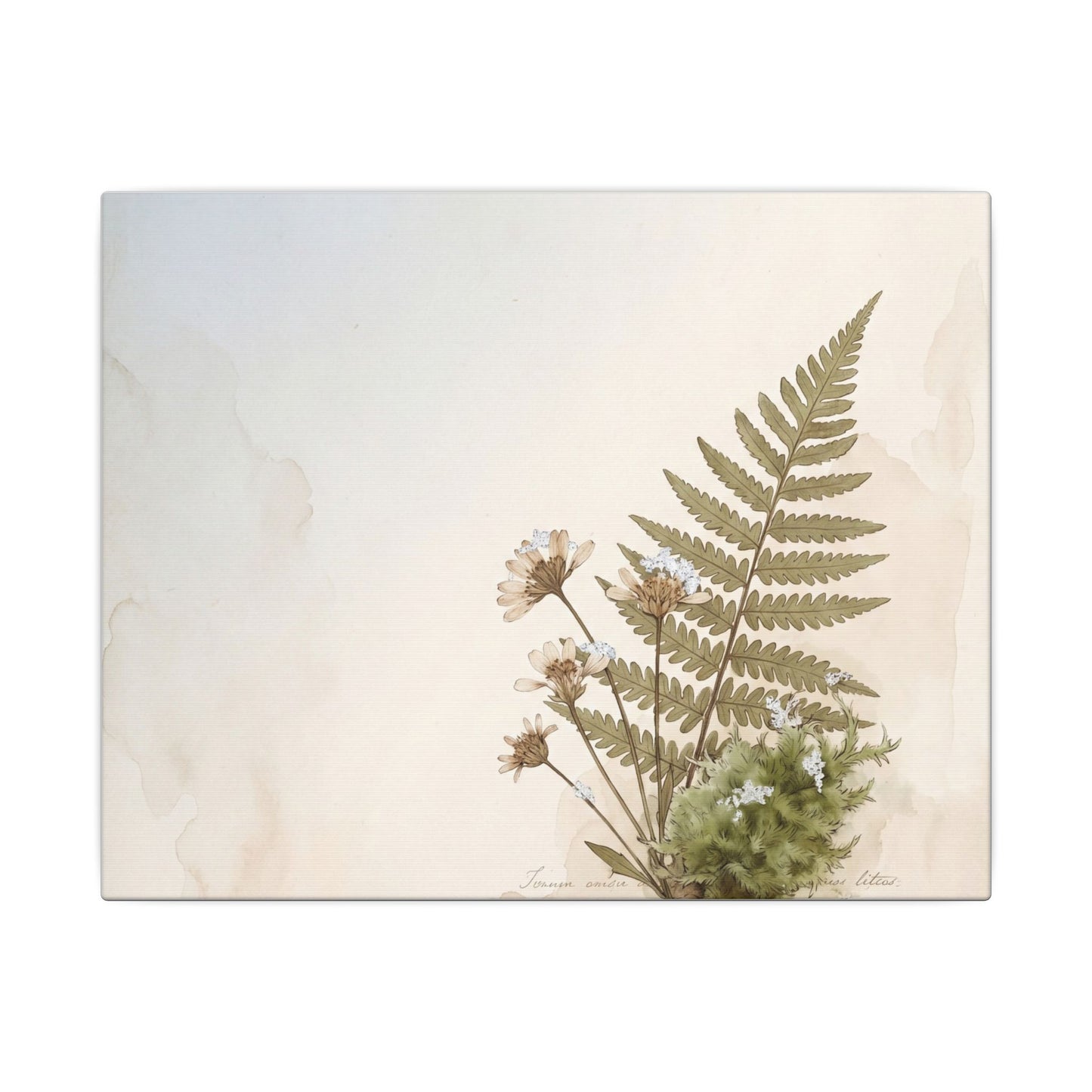Winter Moss Close Up Herbarium Canvas Art | Enchanting Decor