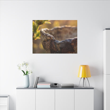 Golden Hour Ceramic Bowl Canvas Art - Dark Japandi Ma