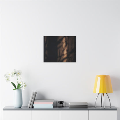 Winter Shadow Play Moody Minimal Canvas Art | Luxurious Decor