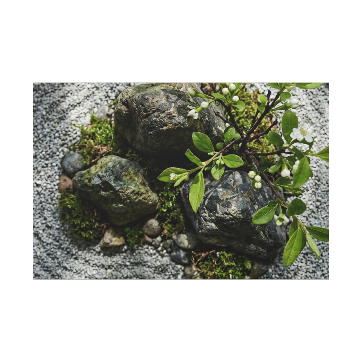 Zen Ceramic Bowl in Dappled | Karesansui Canvas Art