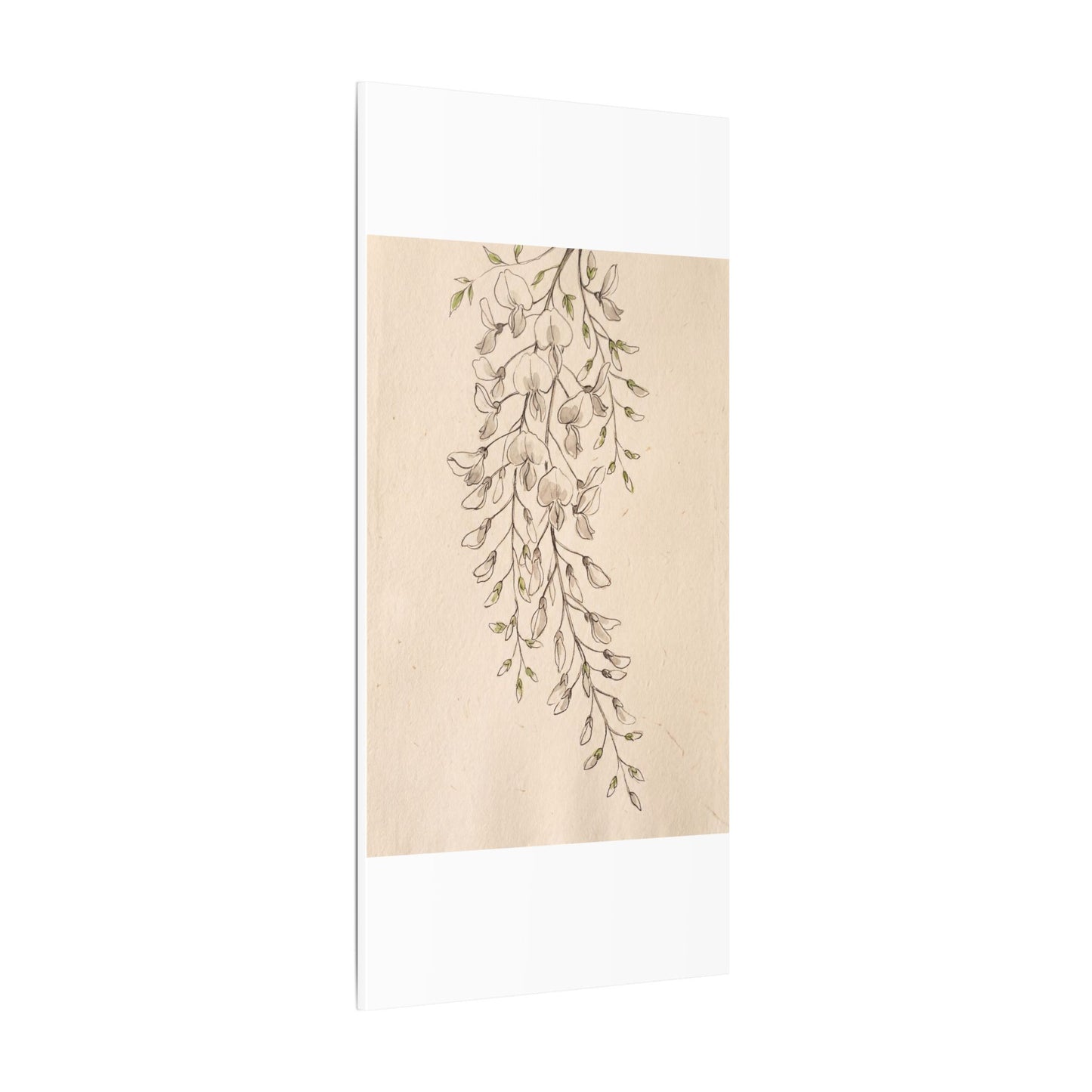 Japandi Wisteria in Golden Hour | Minimal Line Canvas Art