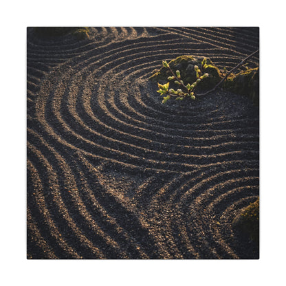 Spring Rock Garden Shadow Zen Canvas Art | Atmospheric Decor