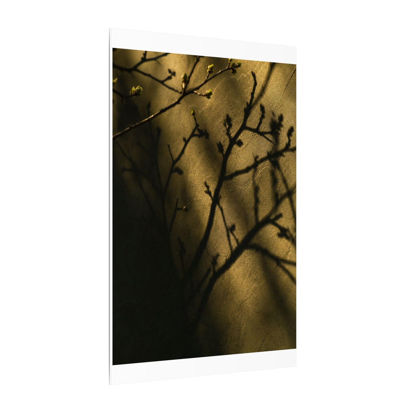 Golden Hour Shadow Play Canvas Art - Dark Japandi Seijaku