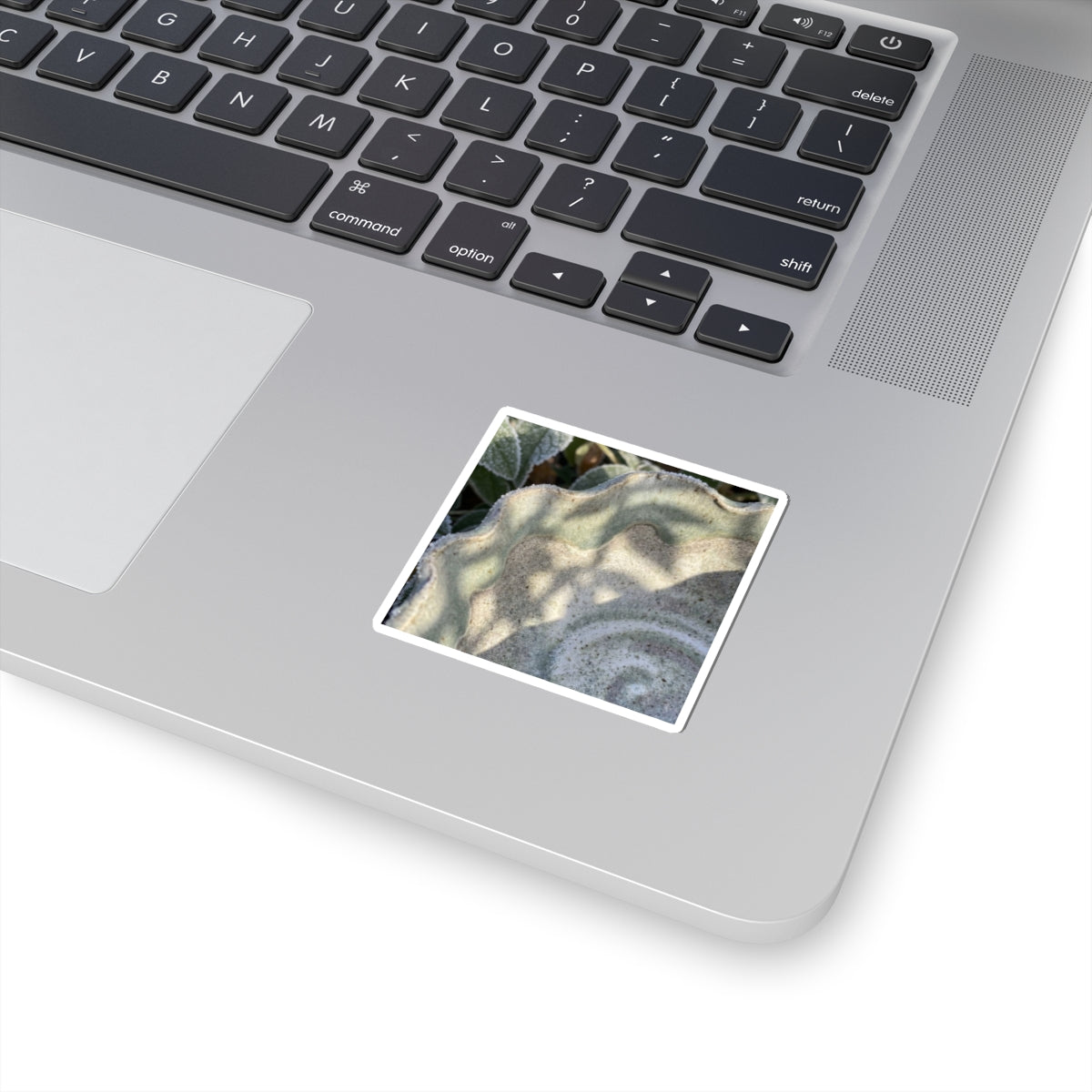 Japandi Ceramic Bowl in Dappled | Minimal Line Sticker