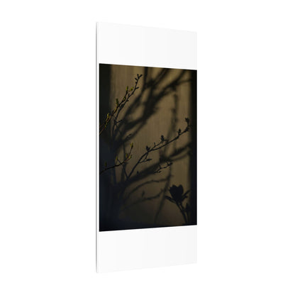 Seijaku Shadow Play Canvas Art - Dark Japandi Charcoal Ink