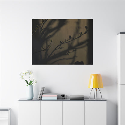 Seijaku Shadow Play Canvas Art - Dark Japandi Charcoal Ink